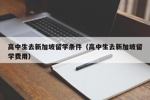 高中生去新加坡留学条件（高中生去新加坡留学费用）