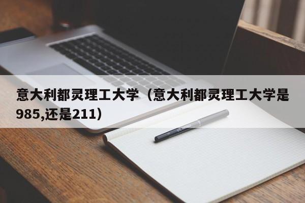 意大利都灵理工大学（意大利都灵理工大学是985,还是211）