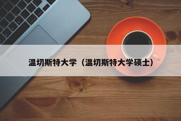 温切斯特大学（温切斯特大学硕士）