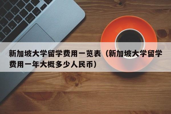 新加坡大学留学费用一览表（新加坡大学留学费用一年大概多少人民币）