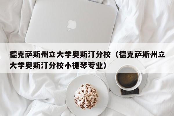 德克萨斯州立大学奥斯汀分校（德克萨斯州立大学奥斯汀分校小提琴专业）