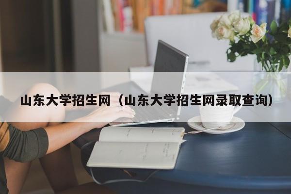 山东大学招生网（山东大学招生网录取查询）