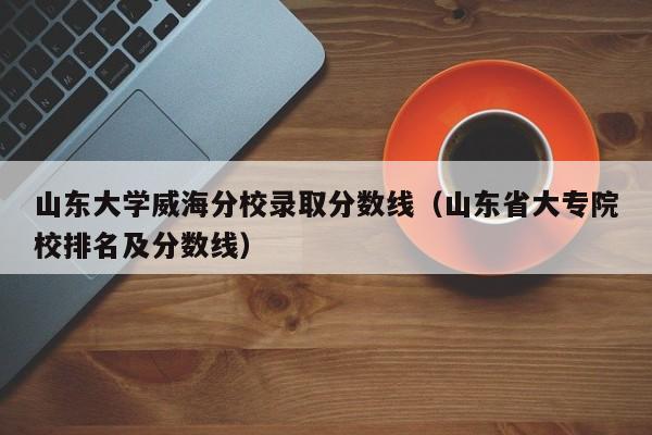 山东大学威海分校录取分数线（山东省大专院校排名及分数线）