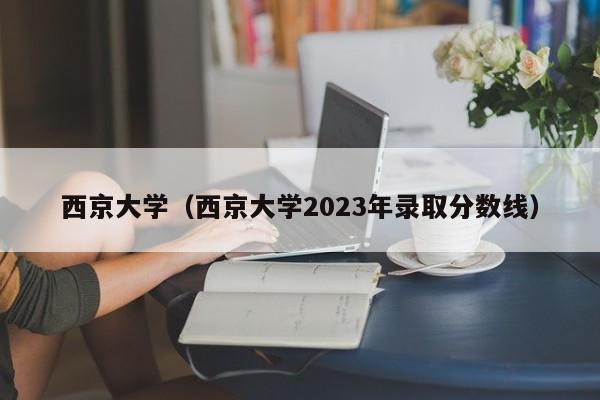 西京大学（西京大学2023年录取分数线）