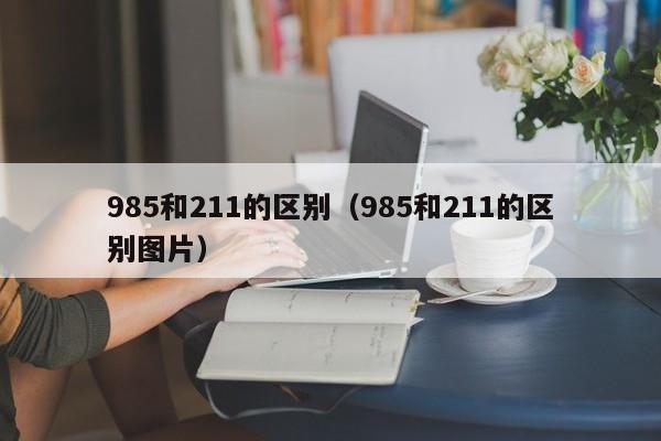 985和211的区别（985和211的区别图片）