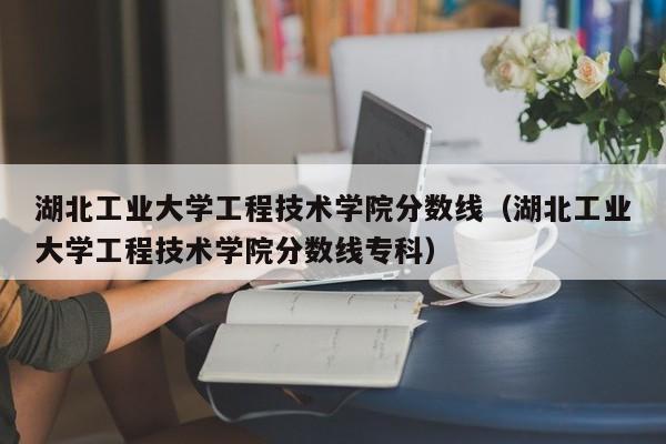 湖北工业大学工程技术学院分数线（湖北工业大学工程技术学院分数线专科）