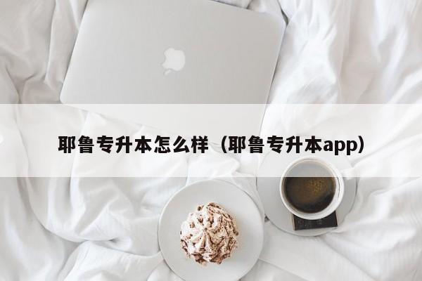 耶鲁专升本怎么样（耶鲁专升本app）