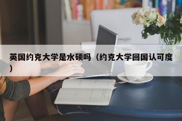 英国约克大学是水硕吗（约克大学回国认可度）