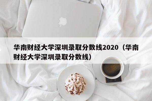 华南财经大学深圳录取分数线2020（华南财经大学深圳录取分数线）