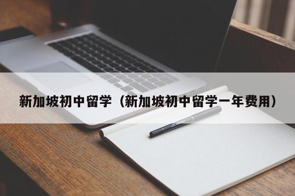 新加坡初中留学（新加坡初中留学一年费用）