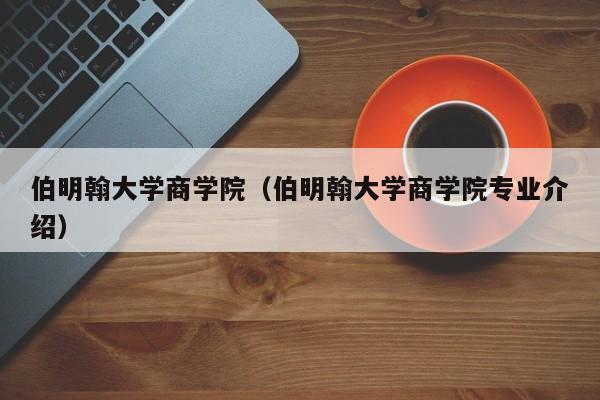 伯明翰大学商学院（伯明翰大学商学院专业介绍）