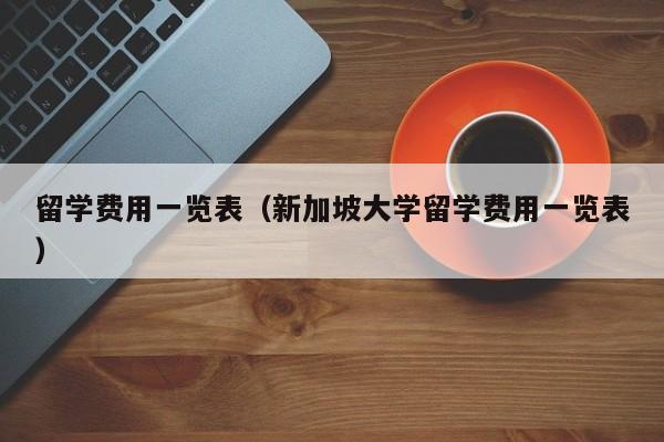 留学费用一览表（新加坡大学留学费用一览表）