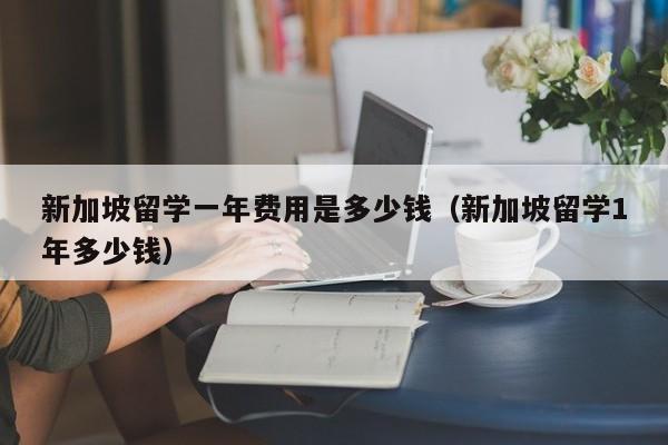 新加坡留学一年费用是多少钱（新加坡留学1年多少钱）