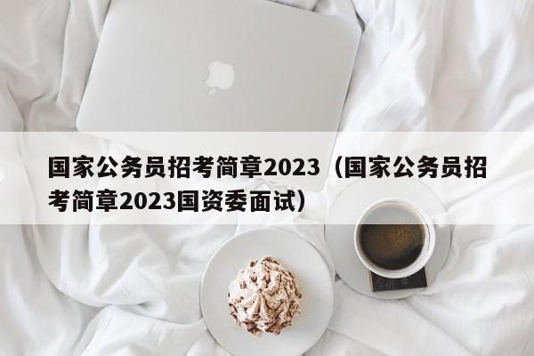 国家公务员招考简章2023（国家公务员招考简章2023国资委面试）