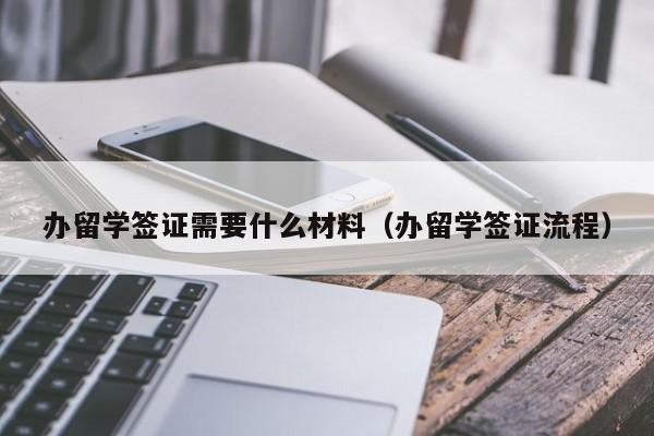 办留学签证需要什么材料（办留学签证流程）